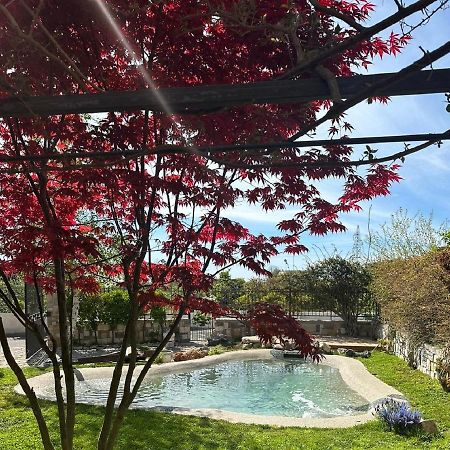 Domus Parva - Villa Con Bio-Piscina, Spa Privata E Appartamenti Panoramici Bacoli Bagian luar foto