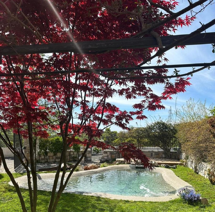 Domus Parva - Villa Con Bio-Piscina, Spa Privata E Appartamenti Panoramici Bacoli Bagian luar foto